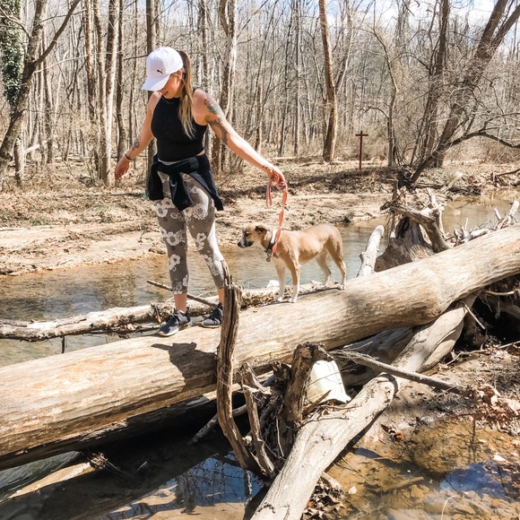 Meet your Posher, Brittany // Hunting Styles - Picture 7 of 7